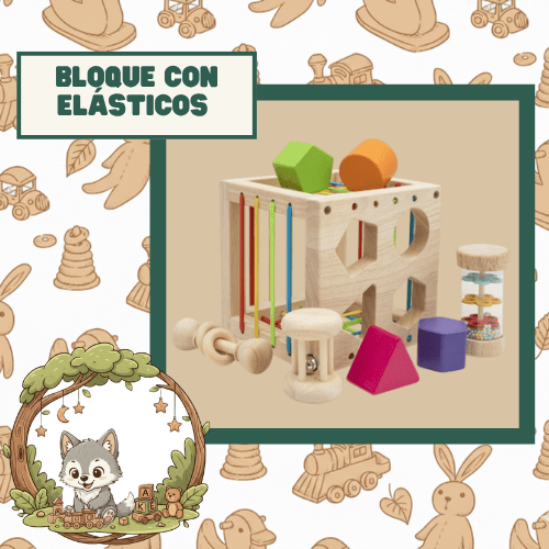 BLOQUE CON ELASTICOS
