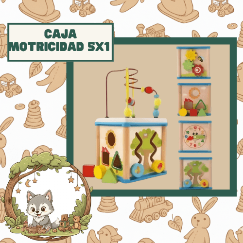 CAJA MOTRICIDAD 5X1